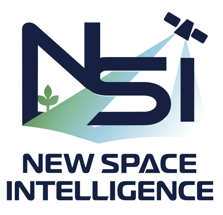 株式会社New Space Intelligence